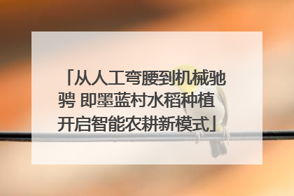 从人工弯腰到机械驰骋 即墨蓝村水稻种植开启智能农耕新模式
