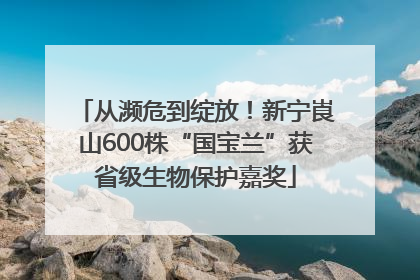 从濒危到绽放！新宁崀山600株“国宝兰”获省级生物保护嘉奖