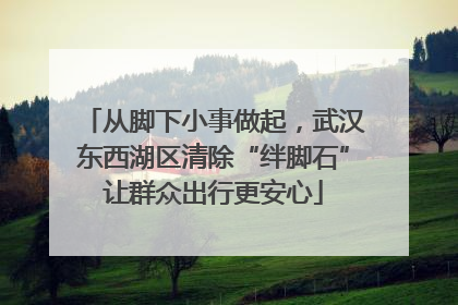 从脚下小事做起，武汉东西湖区清除“绊脚石”让群众出行更安心