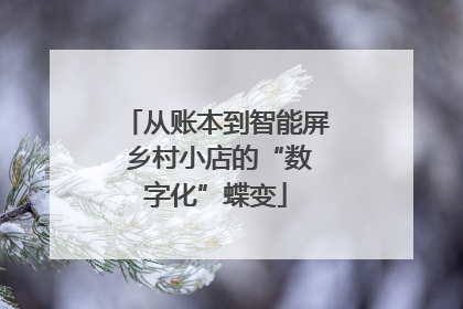 从账本到智能屏 乡村小店的“数字化”蝶变