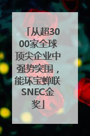从超3000家全球顶尖企业中强势突围，能环宝蝉联SNEC金奖