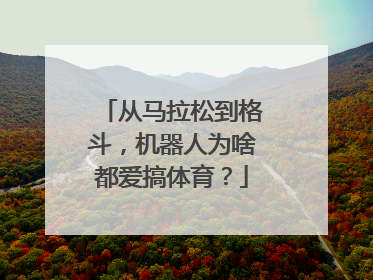 从马拉松到格斗，机器人为啥都爱搞体育？