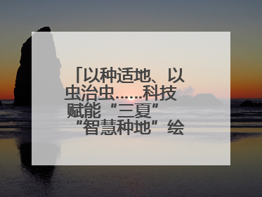 以种适地、以虫治虫……科技赋能“三夏” “智慧种地”绘就好“丰”景