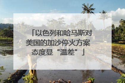 以色列和哈马斯对美国的加沙停火方案态度显“温差”