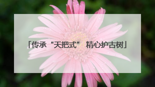 传承“天把式” 精心护古树