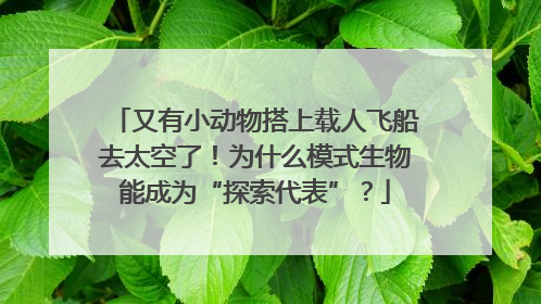 又有小动物搭上载人飞船去太空了！为什么模式生物能成为“探索代表”？