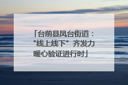 台前县凤台街道：“线上线下”齐发力 暖心验证进行时