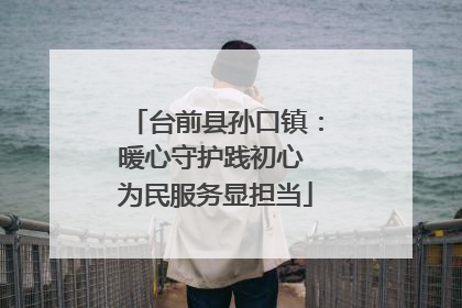 台前县孙口镇：暖心守护践初心 为民服务显担当