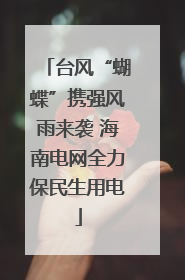 台风“蝴蝶”携强风雨来袭 海南电网全力保民生用电