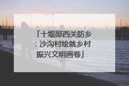 十堰郧西关防乡：沙沟村绘就乡村振兴文明画卷