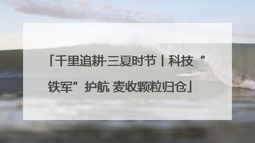 千里追耕·三夏时节丨科技“铁军”护航 麦收颗粒归仓