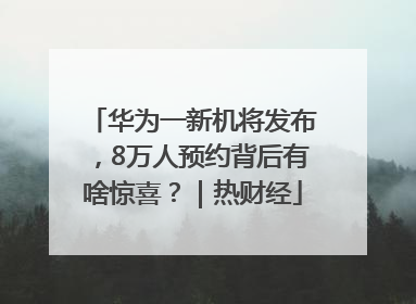 华为一新机将发布，8万人预约背后有啥惊喜？｜热财经