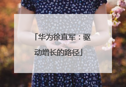华为徐直军：驱动增长的路径