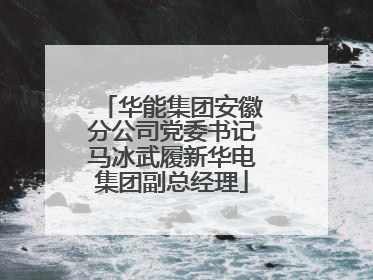 华能集团安徽分公司党委书记马冰武履新华电集团副总经理