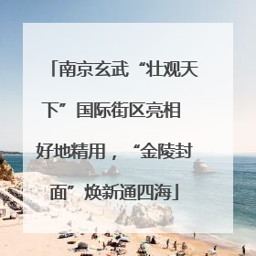 南京玄武“壮观天下”国际街区亮相 好地精用，“金陵封面”焕新通四海