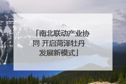 南北联动产业协同 开启菏泽牡丹发展新模式