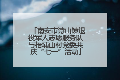 南安市诗山镇退役军人志愿服务队与梧埔山村党委共庆“七一”活动