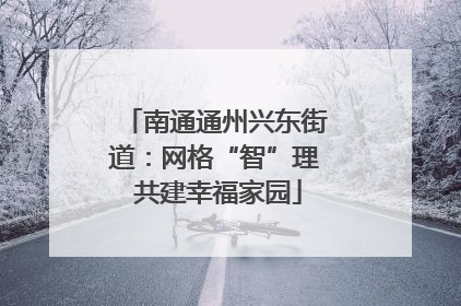 南通通州兴东街道：网格“智”理 共建幸福家园