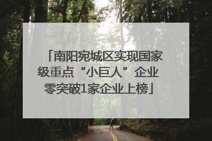 南阳宛城区实现国家级重点“小巨人”企业零突破1家企业上榜