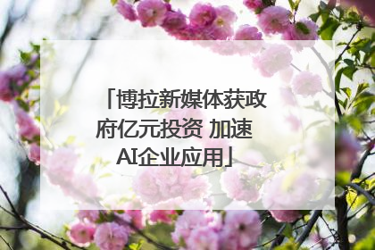 博拉新媒体获政府亿元投资 加速AI企业应用