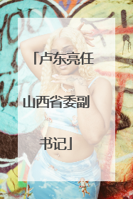 卢东亮任山西省委副书记