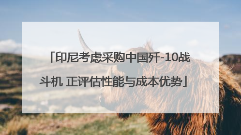 印尼考虑采购中国歼-10战斗机 正评估性能与成本优势
