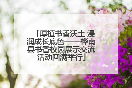 厚植书香沃土 浸润成长底色——桦南县书香校园展示交流活动圆满举行
