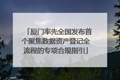 厦门率先全国发布首个聚焦数据资产登记全流程的专项合规指引