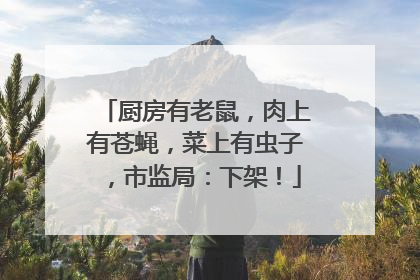 厨房有老鼠，肉上有苍蝇，菜上有虫子，市监局：下架！