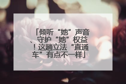倾听“她”声音、守护“她”权益！这趟立法“直通车”有点不一样