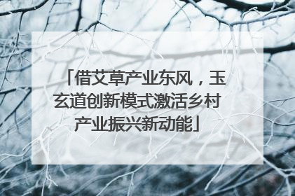 借艾草产业东风，玉玄道创新模式激活乡村产业振兴新动能