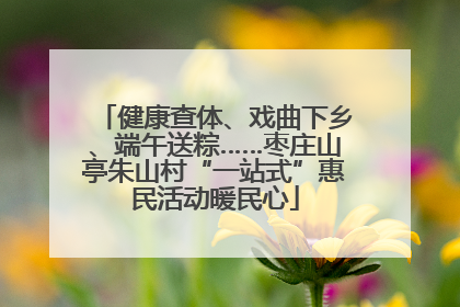 健康查体、戏曲下乡、端午送粽……枣庄山亭朱山村“一站式”惠民活动暖民心