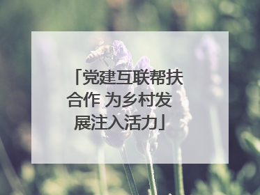 党建互联帮扶合作 为乡村发展注入活力