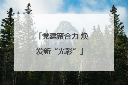 党建聚合力 焕发新“光彩”