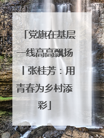 党旗在基层一线高高飘扬丨张桂芳：用青春为乡村添彩