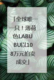 全球唯一一只！薄荷色LABUBU以108万元拍卖成交