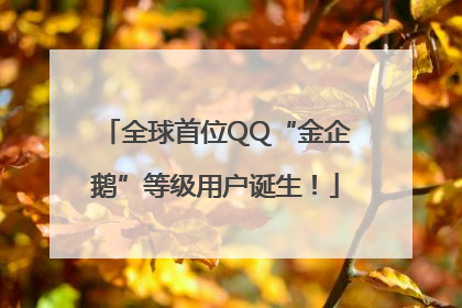全球首位QQ“金企鹅”等级用户诞生！
