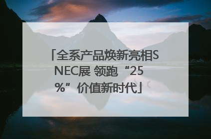 全系产品焕新亮相SNEC展 领跑“25%”价值新时代