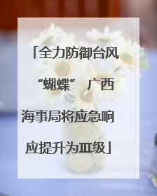 全力防御台风“蝴蝶” 广西海事局将应急响应提升为Ⅲ级