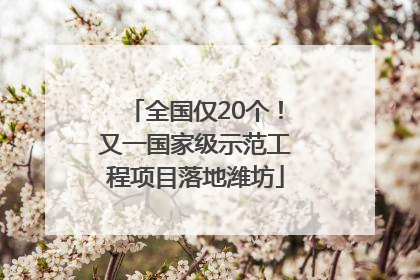 全国仅20个！又一国家级示范工程项目落地潍坊