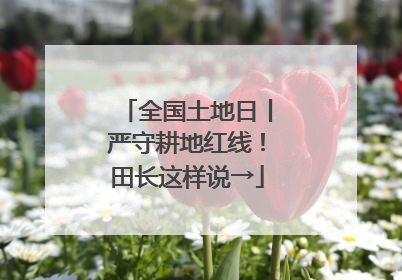 全国土地日丨严守耕地红线！田长这样说→
