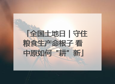 全国土地日｜守住粮食生产命根子 看中原如何“耕”新
