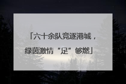 六十余队竞逐港城，绿茵激情“足”够燃