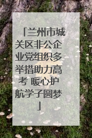兰州市城关区非公企业党组织多举措助力高考 暖心护航学子圆梦