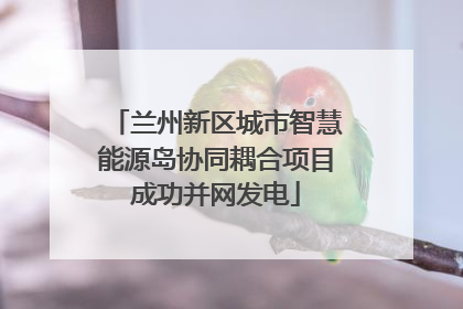 兰州新区城市智慧能源岛协同耦合项目成功并网发电