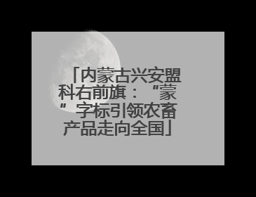 内蒙古兴安盟科右前旗：“蒙”字标引领农畜产品走向全国