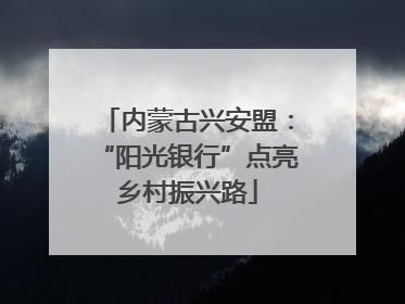 内蒙古兴安盟：“阳光银行”点亮乡村振兴路