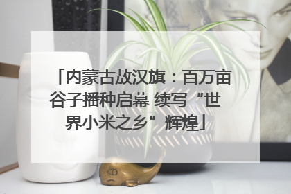 内蒙古敖汉旗：百万亩谷子播种启幕 续写“世界小米之乡”辉煌