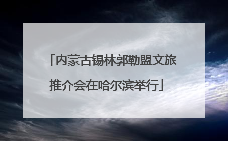 内蒙古锡林郭勒盟文旅推介会在哈尔滨举行