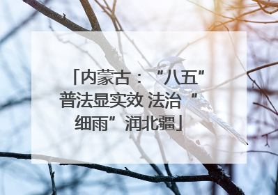 内蒙古：“八五”普法显实效 法治“细雨”润北疆